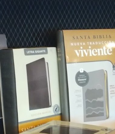 NTV Viviente Gris