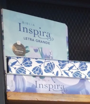 Biblia Inspira Letra Grande